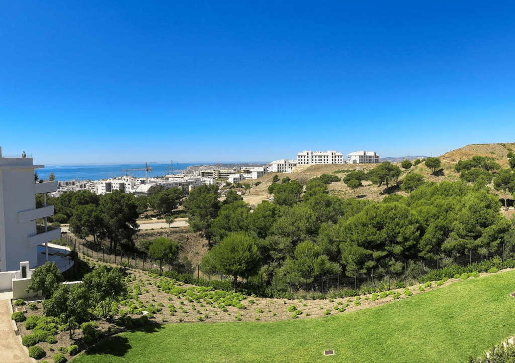 Descripción de la imagen