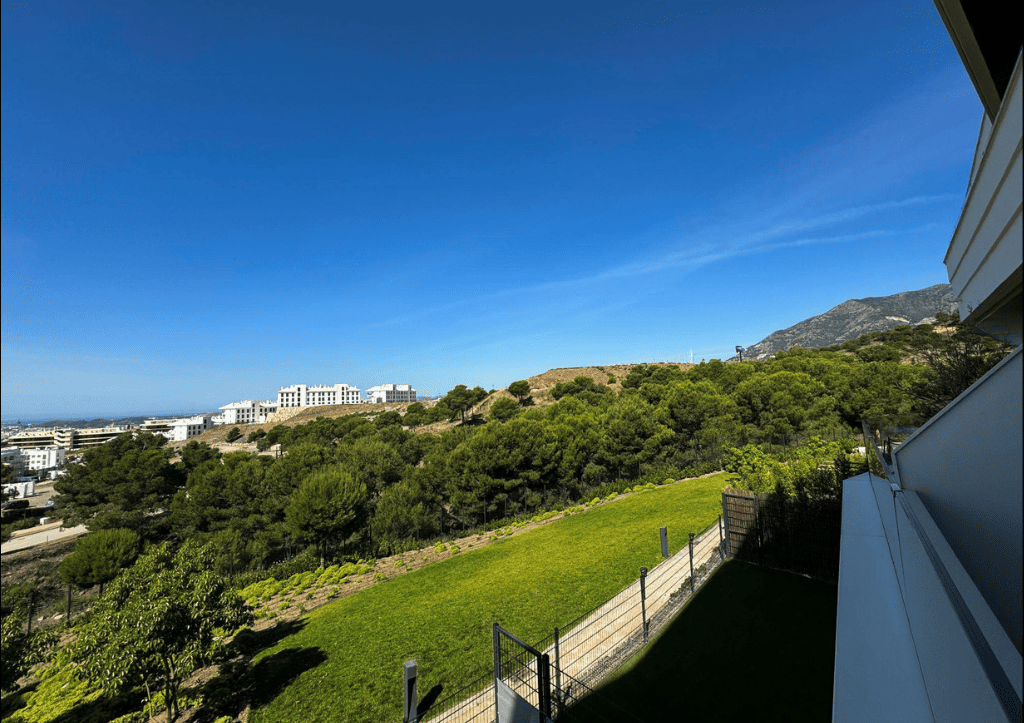 Descripción de la imagen